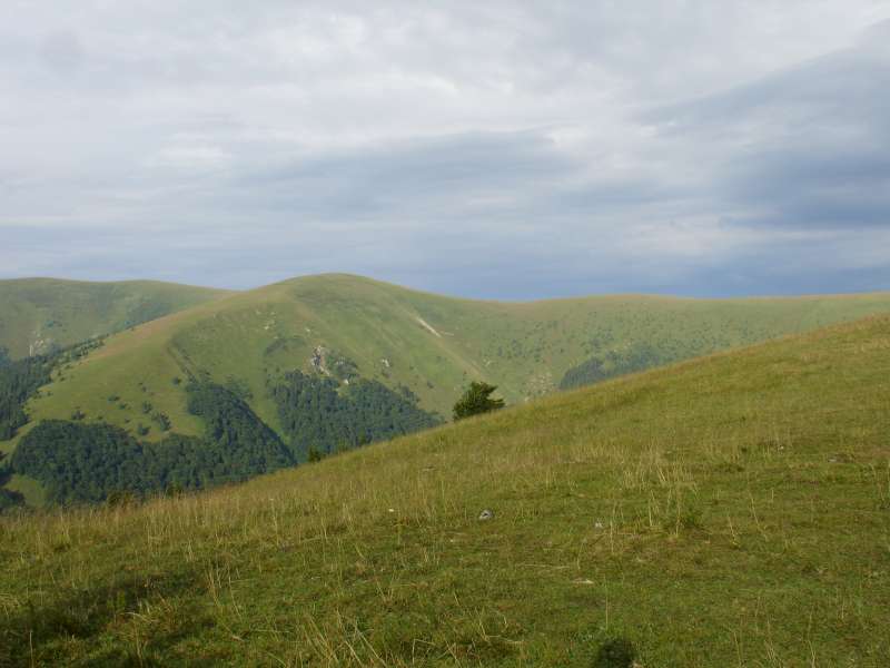 Traviny na vrcholcích